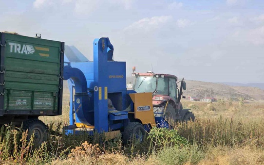 Bitlis Adilcevaz'da fasulye hasadı başladı, 60-70 TL'lik üründe iyi rekolte bekleniyor