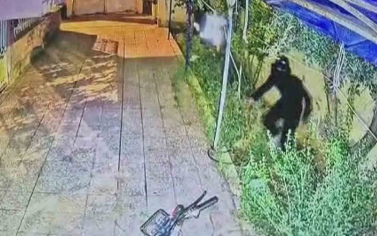 Hatay Reyhanlı'da maskeli 2 hırsızın ikinci motosiklet hırsızlığı kameraya yansıdı