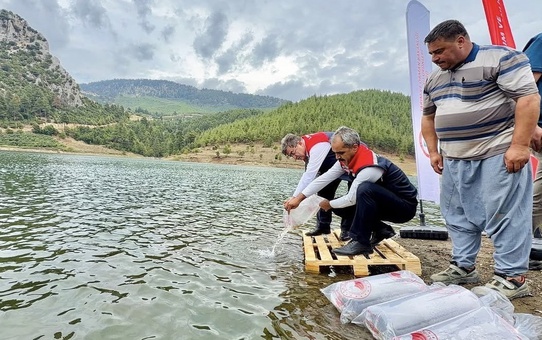 Mersin'de 9 ilçede 17 göl ve gölete 347 bin yavru sazan bırakıldı