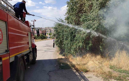 Van Özalp'te bahçedeki yangın, evlere sıçramadan itfaiye ekiplerince söndürüldü