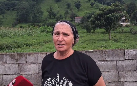 Artvin Kemalpaşa'da çay üreticileri artan maliyetlerin geliri erittiğini belirtiyor