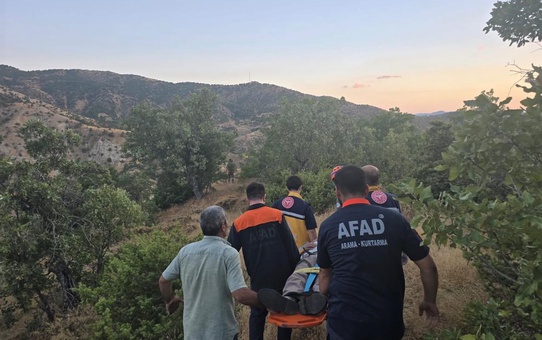 Jandarma ve AFAD ekipleri, Bingöl Genç'te kaybolan şahısı ormanda sağ buldu