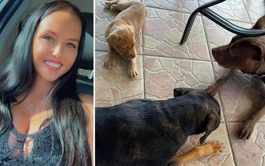 ABD'de iki çocuk annesi kadın, eşi tarafından köpeğiyle ilişkiye girerken yakalandı