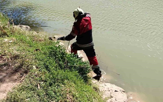 Hatay Reyhanlı'da göl kenarındaki yılan zarar verilmeden yakalanıp doğaya bırakıldı