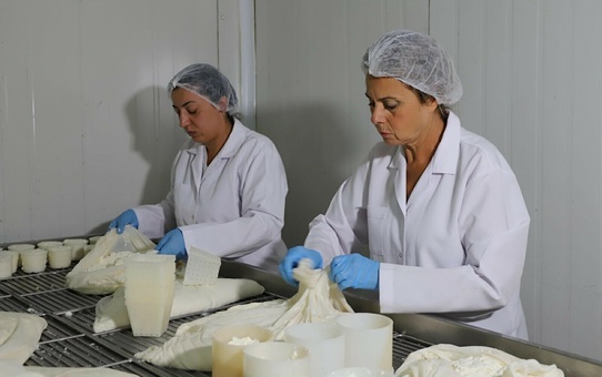 Canan Urhan, Fransa'da öğrendiği peynir yapımını Menemen'de mesleğe dönüştürdü