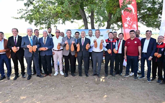 Denizli Acıpayam'da badem hasadı yapıldı, üretim 2025'te bin 872 tona geriledi