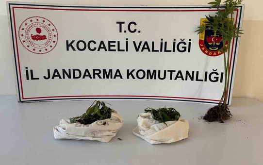 Kocaeli'de uyuşturucu operasyonu düzenlendi, 1 kilo 37 gram kubar esrar ele geçirildi