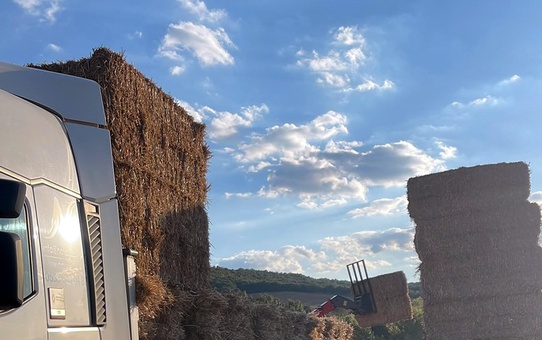 Tekirdağ'da üzerine yaklaşık 500 kilo saman balyası düşen çiftçi öldü
