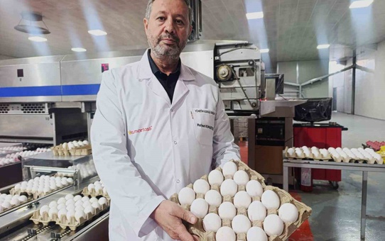 Afyonkarahisar yumurta üreticileri hammadde için Tahıl Koridoru'na umut bağladı