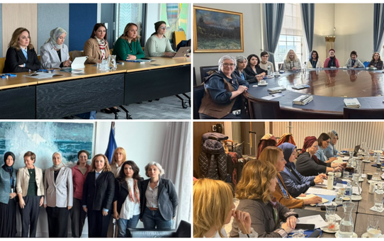 DEM Parti heyeti Belfast ve Dublin'de kadınların çözüm sürecine katılımını ele aldı