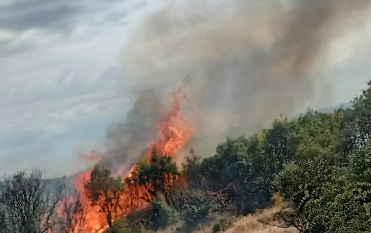 Çanakkale Ayvacık'ta makilik yangın ekipler ve köylülerin desteğiyle söndürüldü