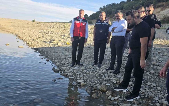 Diyarbakır Dicle'deki Kralkızı Barajı'na 820 bin şabut ve sazan yavrusu bırakıldı
