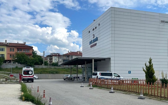 Kastamonu Taşköprü'de 65 yaşındaki orman işçisi arı sokmasıyla hayatını kaybetti