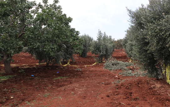 Kilis'te iddiaya göre traktöründen düşen 65 yaşındaki çiftçi hayatını kaybetti