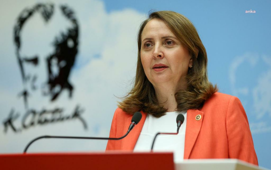 CHP'li Dinçer, Kılıçdaroğlu'nun Sosyal Demokrasi Derneği'nden ihracına tepki gösterdi
