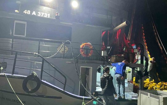 Didim'de hamsi kotası denetimleri sezon boyunca sürecek