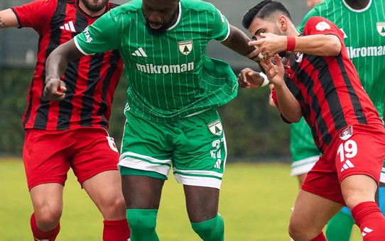 Muğlaspor, Vanspor'a Torbalı'da 44'te Oliviera'nın golüyle tek golle yenildi