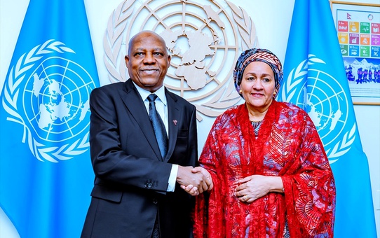 Nijerya Cumhurbaşkanı Yardımcısı Shettima BMGK'de Afrika'ya eşit temsil çağrısı yaptı