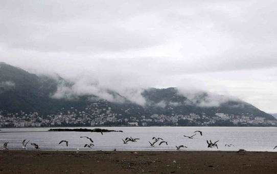 Ordu'da Boztepe, sis bulutları ve martılarla eşsiz bir manzaraya sahne oldu