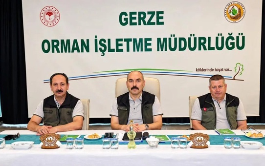 Sinop Orman Bölge Müdürlüğü, Gerze'de kayın tensili ve damga planlamalarını görüştü
