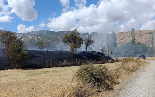 Bitlis Hizan'da otluk alanda çıkan yangın itfaiyece söndürüldü, 3 dönüm zarar gördü