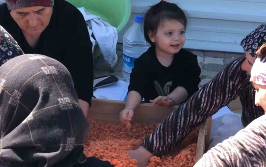 Kütahya Tavşanlı Kuruçay'da kadınlar imeceyle tarhana hamurunu kurutup kışa hazırladı