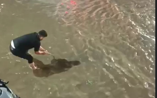 Batman'da sağanak caddeleri göle çevirdi, hastanenin acil girişi göle döndü