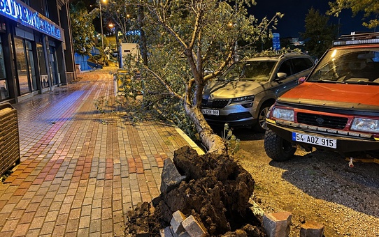 Bandırma'da fırtınada devrilen iğde ağacı park halindeki otomobile hasar verdi