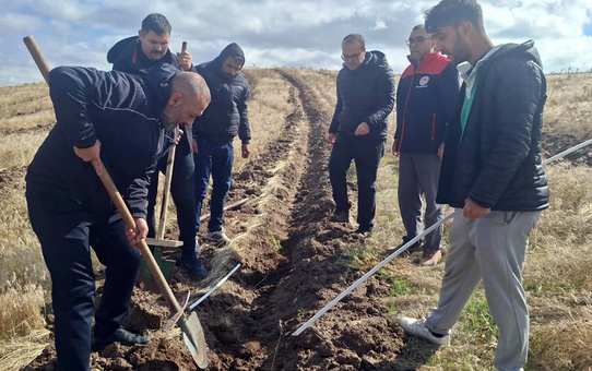 Kırıkkale Keskin'de 150 dönümlük merada 25 bin tuz çalısı fidanı toprakla buluştu