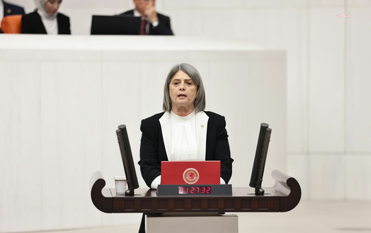 YENİ Partili Sibel Suiçmez, Adana ve Osmaniye'deki üç depremi Meclis gündemine taşıdı