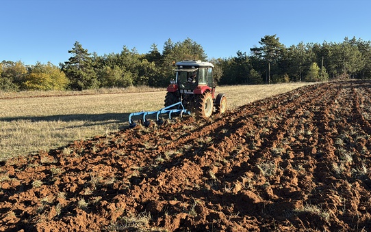 Karabük'te 2025-2026 sezonunda hububat üretimi 70 bin tona ulaştı
