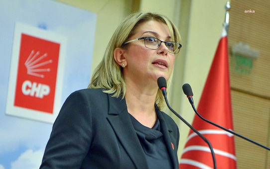 Asu Kaya, 8 bin 68 kızın resmi evlilik kaydını çocuk yaşta zorla evlilik diye niteledi