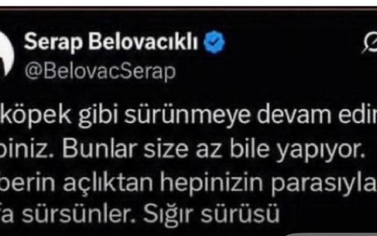 Bakırköy Başsavcılığı, Serap Belovacıklı'ya paylaşımı nedeniyle resen soruşturma açtı