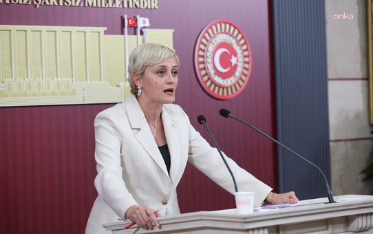 DEM'li Koca, Halk TV'ye kayyım atanmasını halkın haber alma hakkına darbe dedi