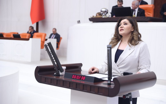 İYİ Parti'li Taşçı, Halk TV'ye kayyum atanmasını 'istibdat' olarak niteledi
