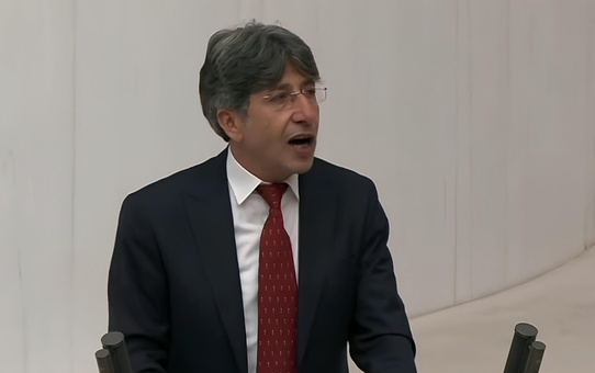 DEM Parti Milletvekili Bozan: Meclis'te sadece 4 AK Partili milletvekili var