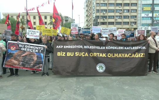 İzmir'de Ege Üniversitesi'ndeki 160 köpeğin toplatılması Bornova'da protesto edildi