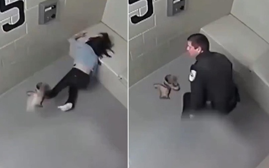 Polis hayatını kararttı! Gözü kör oldu, yüzü parçalandı