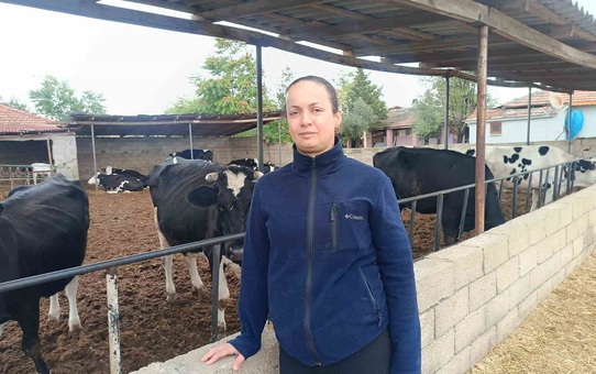 Edirne Havsa'da kadın çiftçi, Genç Çiftçi Projesi'yle sürüsünü 30 başa çıkardı