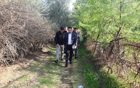Yenişehir Kaymakamlığı Dicle kıyısında Muhammediye Gülü projesi hazırladı
