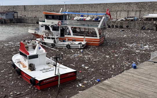 Üzülmez Deresi'nin taşıdığı atıklar Zonguldak Limanı'nda teknelerin çevresini sardı