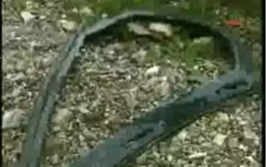 Giresun //Olay Yeri// Asker Terörist Avında