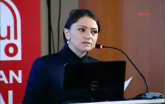 Hibe Alan Projeler Açıklandı