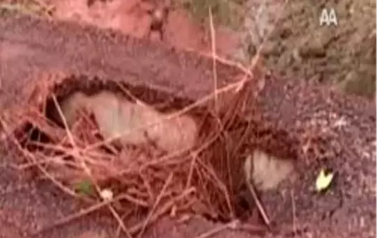 Karadeniz'e Kızıl Çamur Tehdidi