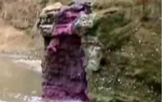 Unakıtan'ın Fabrikası İçin Suçlama