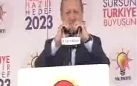 Başbakan Erdoğan: Asıl Milliyetçilik Ülkeye Hizmet Etmektir
