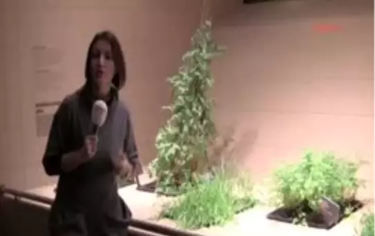 Ek İnsanlık Tarihinin Anahtarı; Buzadam Ötzi