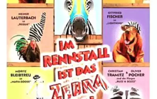 Yarışçı Zebra Filmi