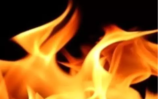 Tunceli'de Yangın: 1 Ölü