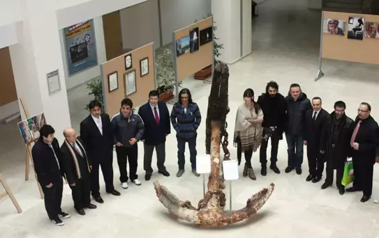 Zirve Üniversitesi, Ünlü Sanatçıları Ağırladı